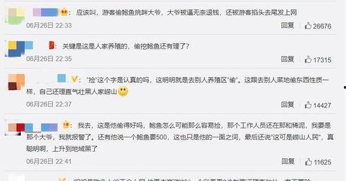 鲍鱼最新爆料视频播放,娱乐圈幕后真相大曝光