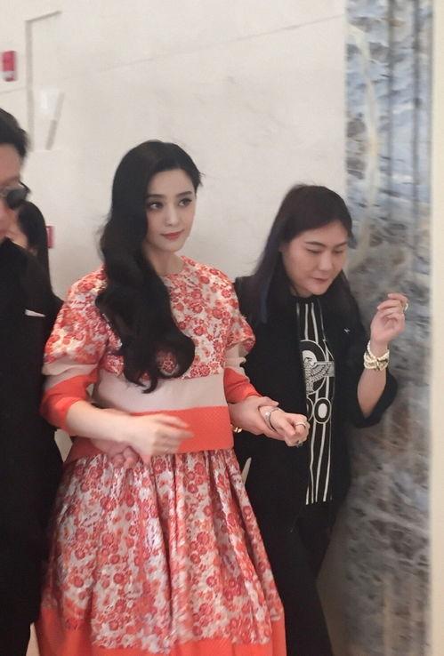 爆料范冰冰最新消息,揭秘娱乐圈风云再起！